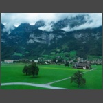 P8214120.html