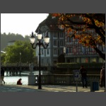 P8224187.html