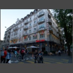 P8224242.html