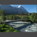 P8224292.html