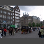 P8244664.html
